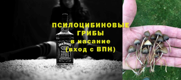гидропоника Елабуга