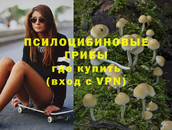 гидропоника Елабуга