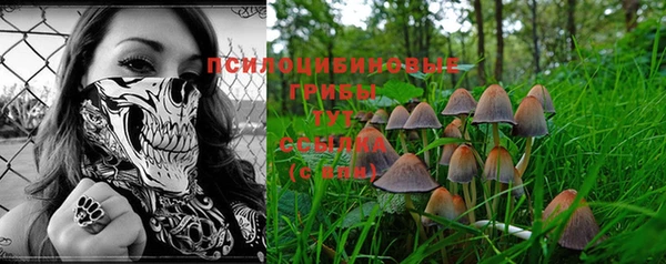 Альфа ПВП Заволжск