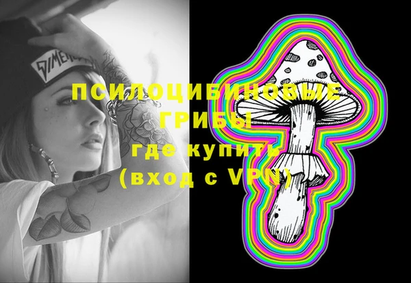 гидропоника Елабуга