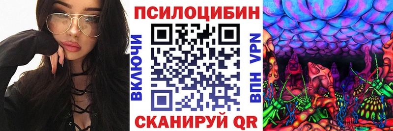 Купить где  Сычёвка  Галлюциногенные грибы мицелий 